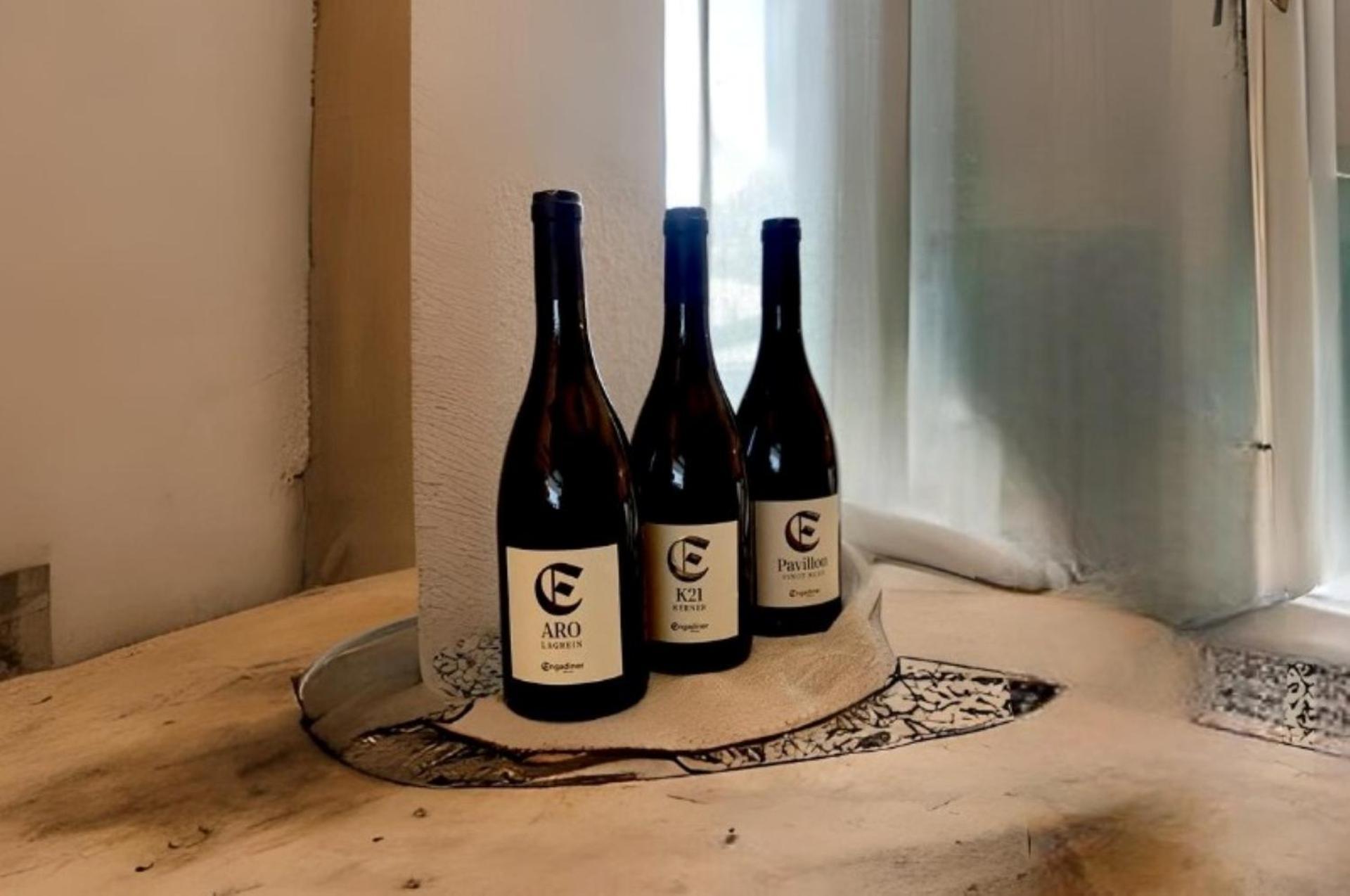 Engadiner Apartments & Wines مونتانا المظهر الخارجي الصورة